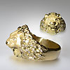 Ring male lion
