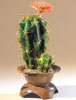 Cactus of precious stones