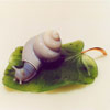 Schnecke